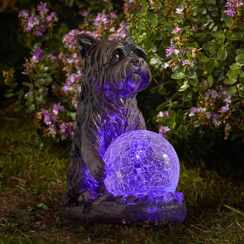 Mystic Dog Light Up Garden Ornament Solar Powered Gazing Ball Multicoloured LED